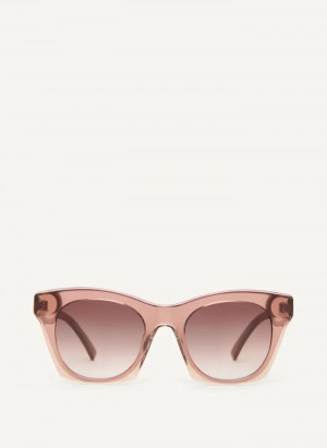 Blush Combo Accessories Dkny Cat Eye Sunglasses | 978WTQYEZ