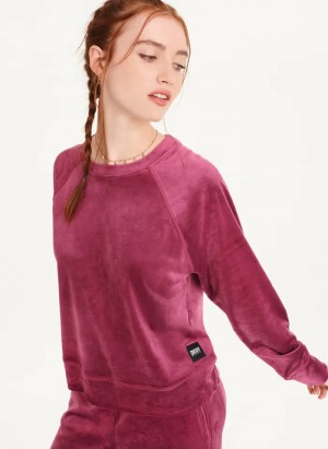 Magenta Purple Women's Dkny Platinum Velour Pullover | 215DHXYUI