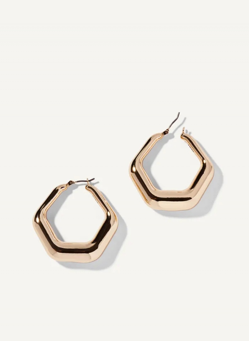 Gold Accessories Dkny Classic Hoop Earrings | 816OUYNBM