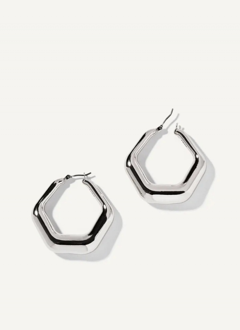 Silver Accessories Dkny Classic Hoop Earrings | 820EHPKOG